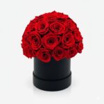 Caja de Rosas Redonda Estilo Domo