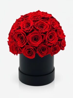 Caja de Rosas Redonda Estilo Domo
