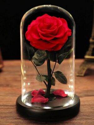 Rosa Eterna en Cúpula de Cristal