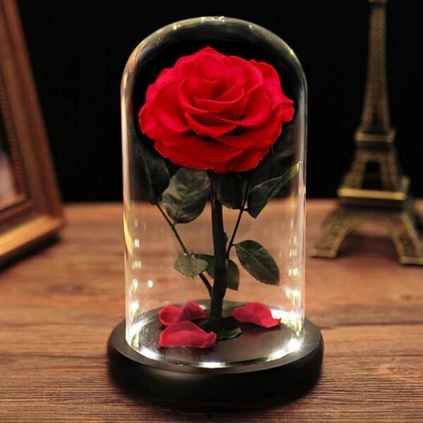 Rosa Eterna en Cúpula de Cristal